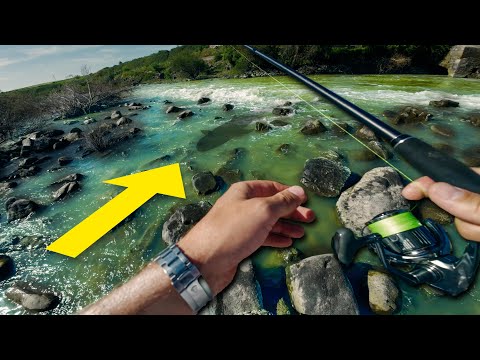 The Ultimate RIVER MONSTER Challenge