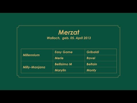 Merzat by Millennium