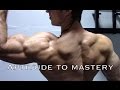 Aesthetics Motivation - Aptitude to Mastery