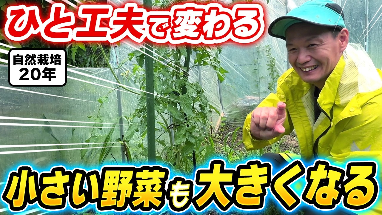 苗が育たない時の自然栽培プロの技