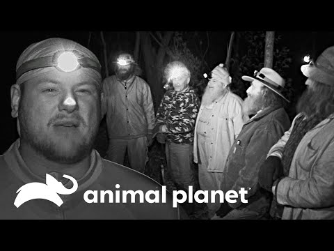 Debía entrar al bosque para enfrentarlo él solo | Monstruos de la Montaña