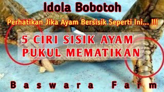 Download lagu ciri sisik ayam pukul mematikan mp3