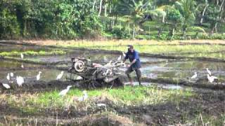 preview picture of video 'Sri Lanka,ශ්‍රී ලංකා,Rice field worker with motor plough (01)'