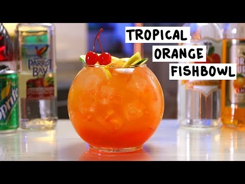 download lagu mp3 mp4 Tropical Schnapps, download lagu Tropical Schnapps gratis, unduh video klip Tropical Schnapps