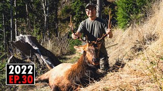 BULL NUMBER TWO - Oregon Elk Hunt (Coastal Rosies Part 2) | 2022 Hunting Season EP.30