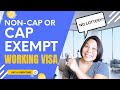 Discover Your Path To Nonprofit/cap Exempt H1b Visa (No Lottery)!