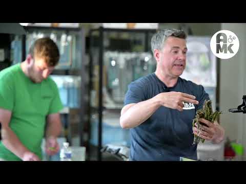 AMK Jeff Miotke Aquascape Tutorial Part 2: Planting and livestock in a rimless aquarium