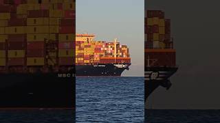 MSC Ischia 368m. Singapore - Trieste 29/12/2025 09:00