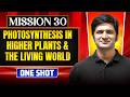PHOTOSYNTHESIS IN HIGHER PLANT THE LIVING WORLD In ONE SHOT All Concept Trick PYQ NEET 2026