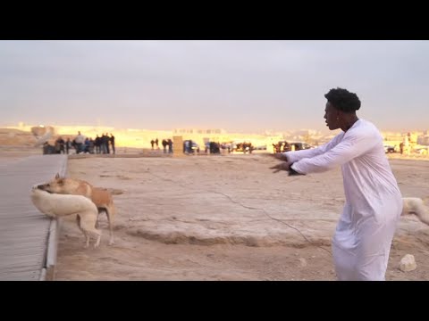 iShowSpeed Breaks Up A Dog Fight In Egypt 💀🐕