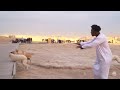 IShowSpeed Breaks Up A Dog Fight In Egypt
