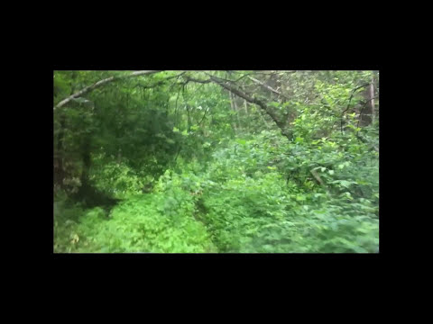 Джиперы едут на пролом.