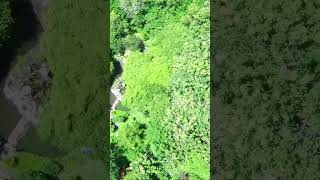 Download lagu sepiring berdua mp3 Download lagu sepiring berdua mp3