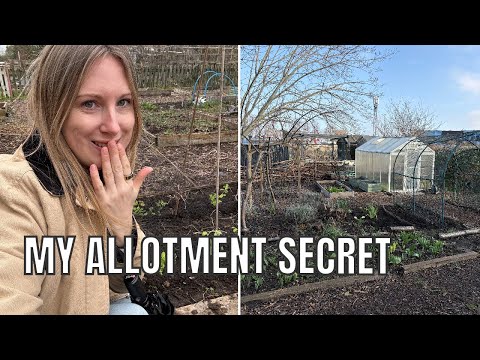 MY DIRTY ALLOTMENT SECRET / ALLOTMENT GARDENING UK