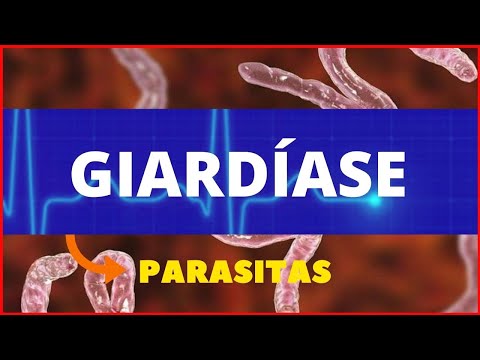 GIARDÍASE - GIARDIA LAMBLIA (GIARDIA) - PARASITOLOGIA | INFECTOLOGIA - TUDO SOBRE GIARDÍASE