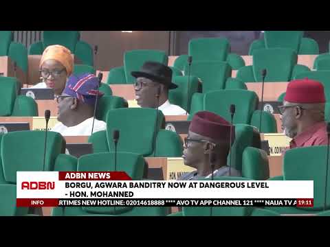 Borgu, Agwara Banditry Now At Dangerous Level -Hon. Mohammed