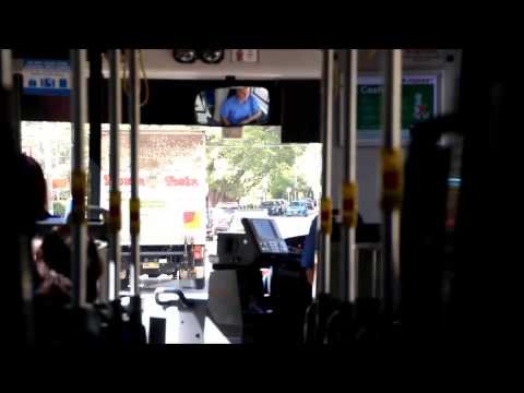 Forest Coach Lines (Terrey Hills) Volvo B12BLE Euro 3 / Custom Coaches CB60, m/o 4456 - Part 3/5