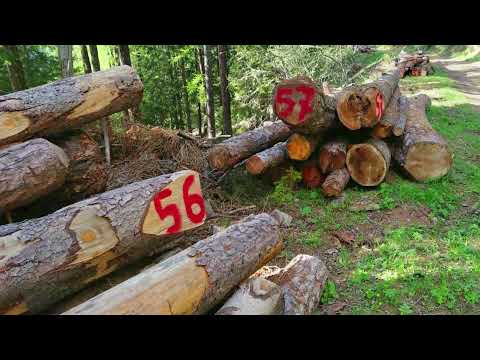 rhemes saint georges 2021  parte 1