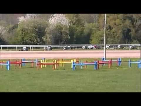 Les Courses Hippiques 2014   14 04 2014   LISIEUX   Trésorerie   PRIX RENE COUETIL   Vidéos