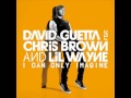 David Guetta - I Can Only Imagine ft. Chris Brown, Lil Wayne INSTRUMENTAL