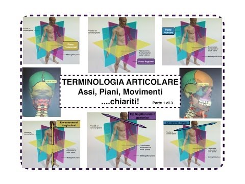 Riabilitazione del ginocchio in piscina Articolazioni male dopo lesecuzione per qualche motivo