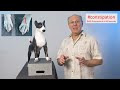 Constipation DOG Acupressure In 60 Seconds