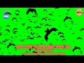 Bats Flying🦇VFX Sound Effect🔊No Copyright Strike✔️100% Free to Download & Use for Content Creators👍