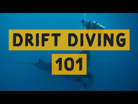 Beginners Guide To Drift Diving Maldives Style with Prodivers Maldives