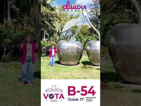 Romeral es cuna de temporeros, mujeres rurales, agricultura y trabajo duro.