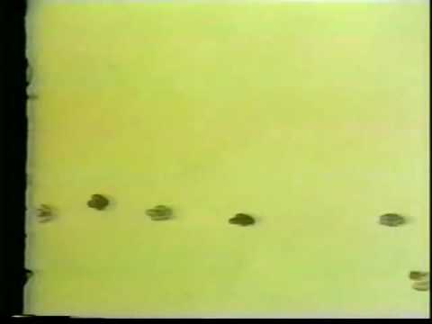 The Letter People TV 14 Meet Miss E