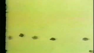 The Letter People TV 14 Meet Miss E