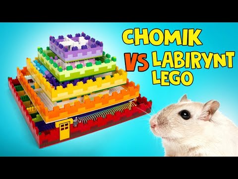 Jak Zbudować 5-Poziomowy Labirynt Z Lego Dla Chomika! 🐹🧱🎁
