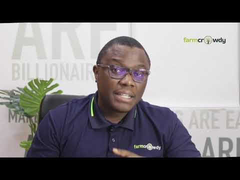Onyeka Akumah Explains What Farmcrowdy Is