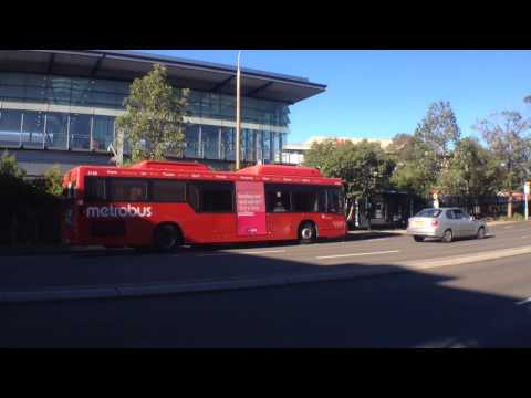 Sydney Bus Vlog 6: Epping