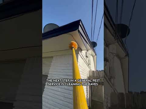 General Pest Control