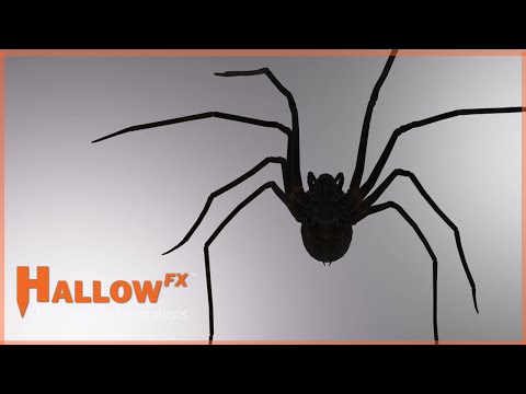 Spider Silhouettes by HallowFX - Digitize your Decorations
