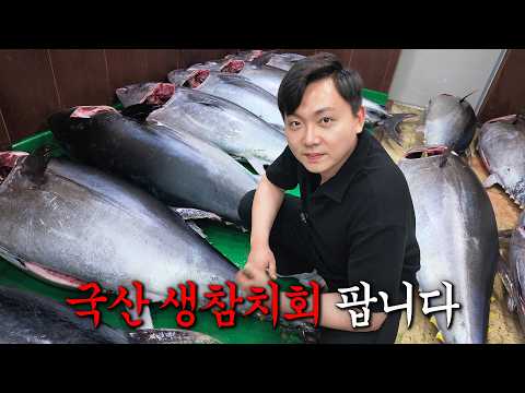 국산 생참치회 원물 소개 — 제대로농수산