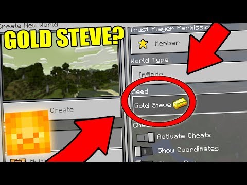 Erin Ketchum (ZombieSMT) - NEVER Play Minecraft The GOLD STEVE WORLD! (Haunted "GOLD STEVE" Seed)
