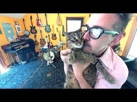"The Love Cats" by The Cure - Performed by Danny Michel & Super Spreader