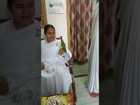 # Talking parrot .parrot 🐦 talking shiv  Baba,mete Baba, omshanthi.
