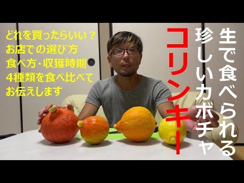 皮ごと食べられるかぼちゃはどれ? 植物