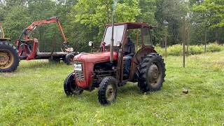 Tracteur &agrave; roues Massey Ferguson FE-35 | Image 4 - Agroline
