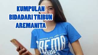 Download lagu Bidadari tribun (AREMANITA) mp3