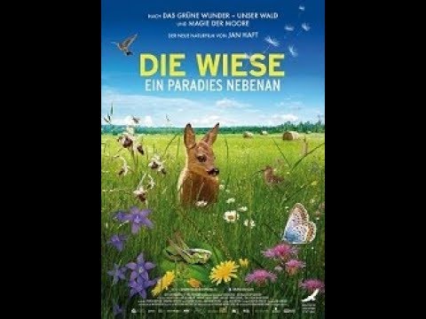 Die Wiese - Ein Paradies nebenan | Trailer (HD) | ab 4.4.2019 im Kino | polyband