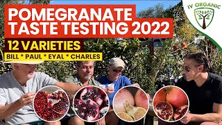 Pomegranate TASTE TESTING 2022  |   Wonderful, Parfianka, Utah Sweet, Angel Red, Desertnyi + MORE