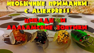 Рыболовные приманки - цикады