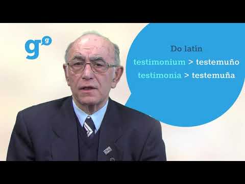 Vídeo: Testemuño e testemuña