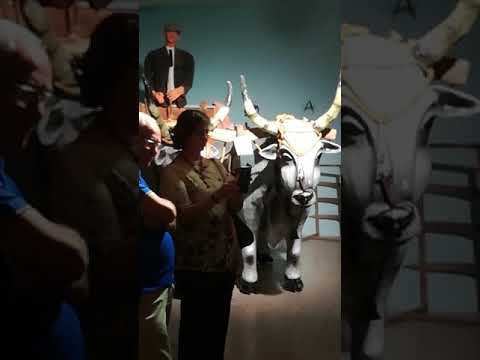 Museo antropologico Stigliano 2