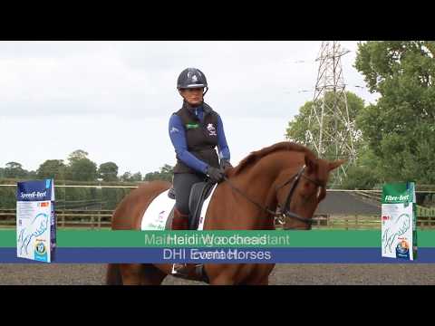 Training the Young Horse for Eventing - Maintaining a Consistent Contact