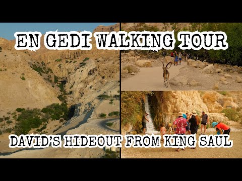 En Gedi Israel Walking Tour: David's Hideout from King Saul! Amazing Desert Oasis by the Dead Sea.